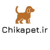 logo chikapet.ir لوگو چیکاپت